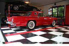 T-Bird