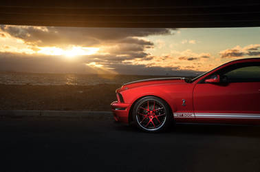 Mustang GT500 Sport Y5 Concave
