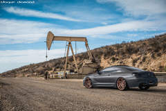2015 BMW 640i Fitted With 20 Inch BD-8’s in Rose Gold