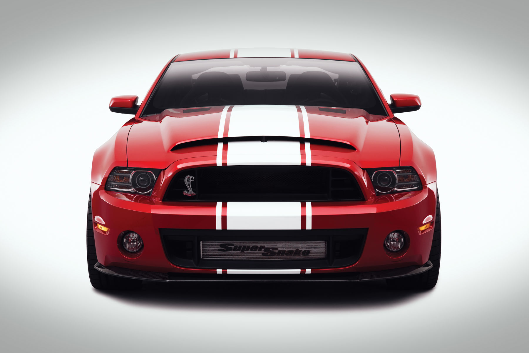 Shelby gt500 super snake 2013