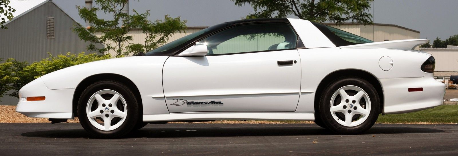 1994 Pontiac Trans Sport | 1994 25th Anniversary Pontiac Trans Am - Profile