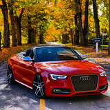 Audi S5 on Ruff R954's