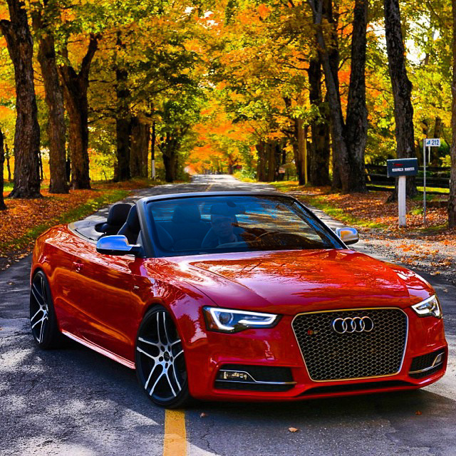 2009 Audi S5 | Audi S5 on Ruff R954's