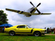 THE BOSS issues a No-Fly Zone