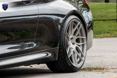 Black 3 Series - Rear Spokes