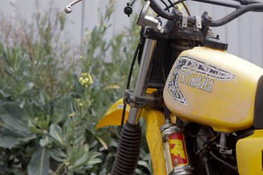 1981 Yamaha  | Bullitt YZ