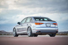 H&R 2017 Audi A4 - Carbon Fiber Rear Spoiler