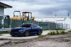 Blue Mustang GT on Velgen Wheels  VMB9 Satin Bronze  20x9 & 20x10.5