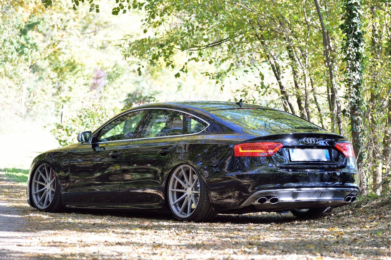  Audi S5 | Audi S5