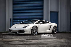 OUR CLIENT'S LAMBORGHINI GALLARDO WITH 19" ASANTI AF-173 WHEELS