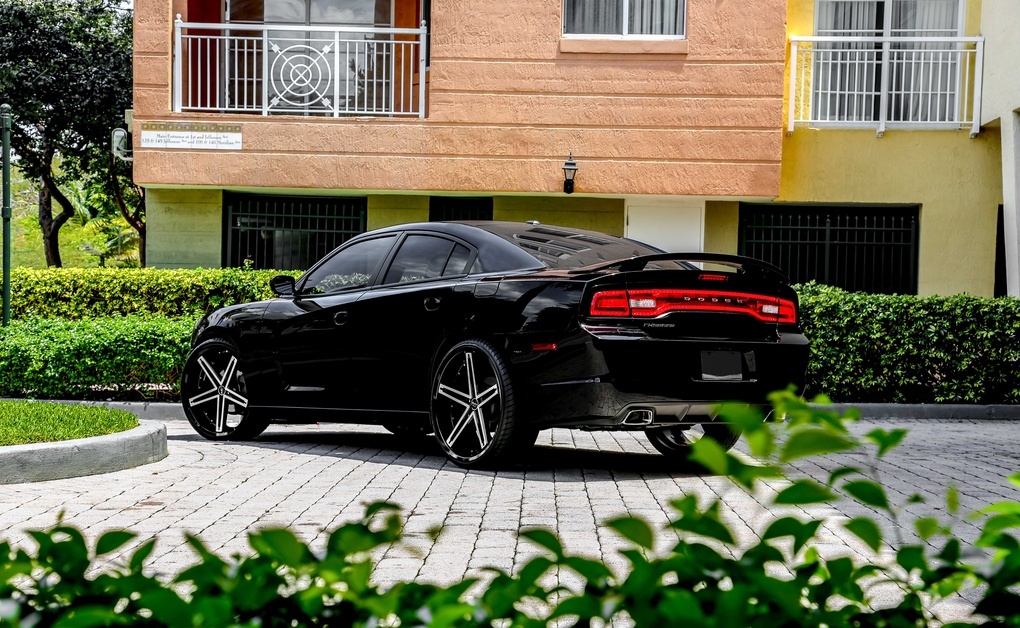 2011 Dodge Charger | Dodge Charger on Ruff R359's