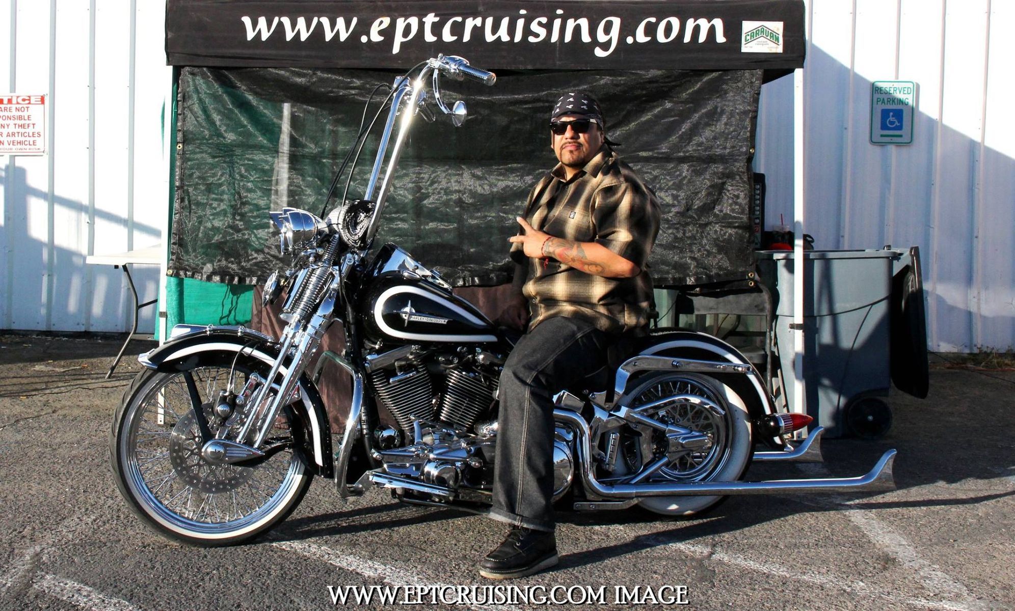    | springer softail