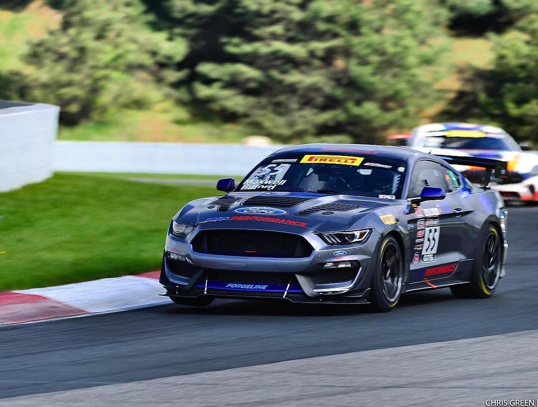 2018 Ford Mustang | Aschenbach Dominates Pirelli World Challenge GTS at Canadian Tire Motorsports Park on Forgeline One Piece Forged Monoblock GS1R Wheels!