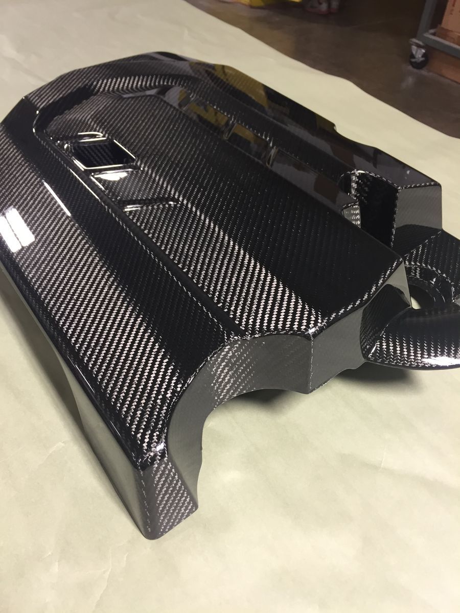 2015 Ford Edge | 2015 Webasto Ford Edge Carbon Engine Cover