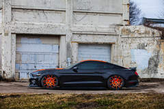 2015 TKO Mustang by MRT