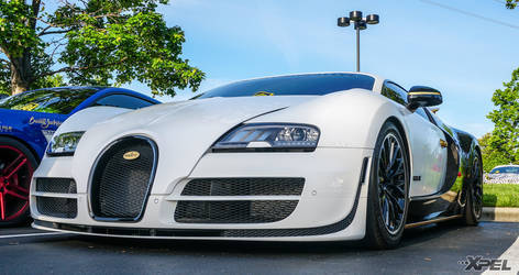 goldRush Rally 8