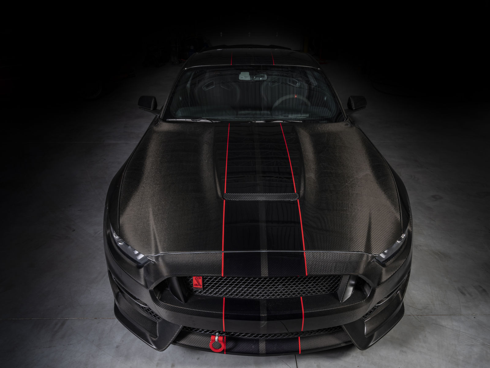 2019 Ford GT350R | 2019 Shelby GT350R Carbon Fiber Edition by Speedkore - Hood FordSEMA