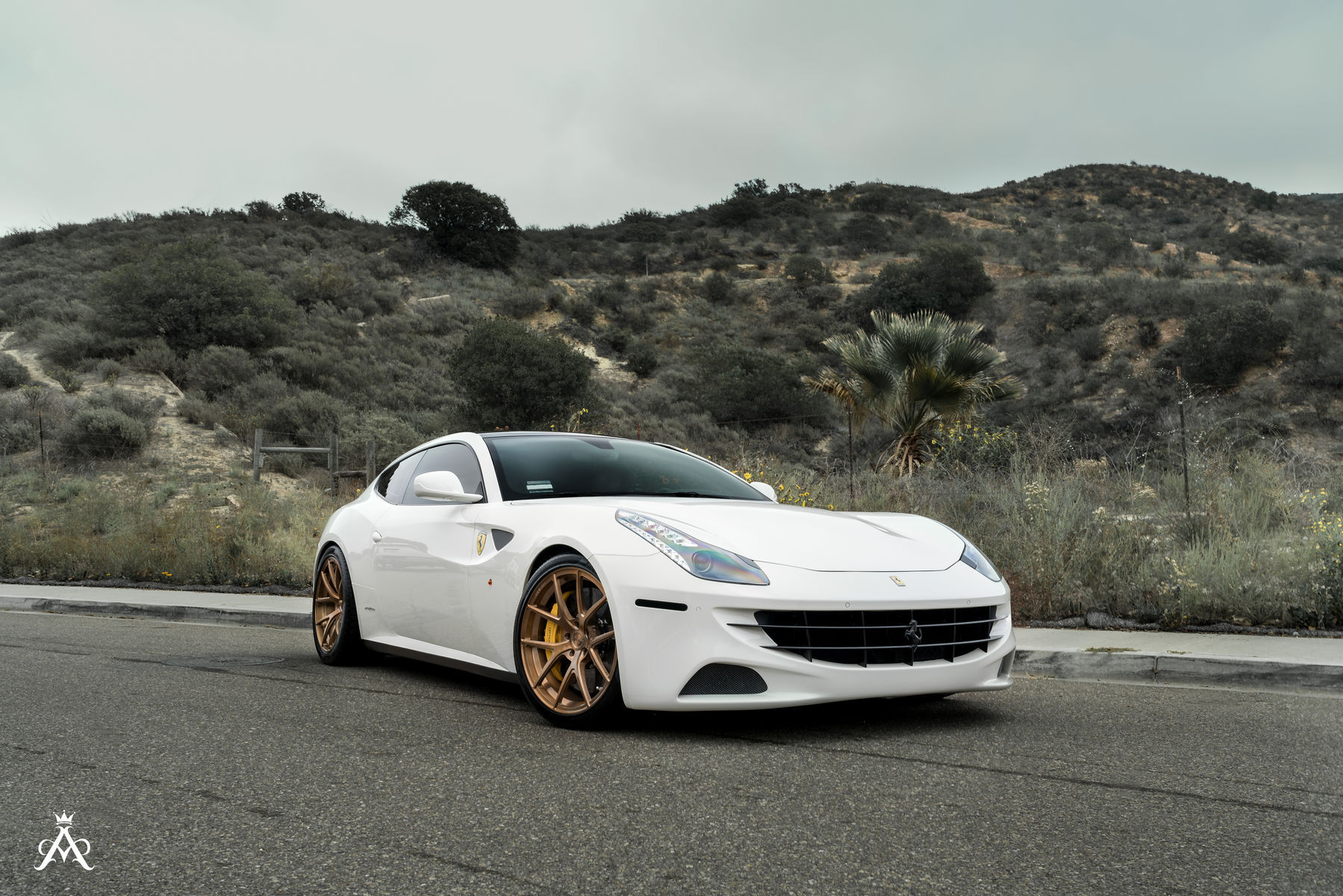  Ferrari FF | Ferrari FF & Mercedes GTS AMG Duo Shoot