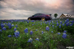 Hyundai Genesis Coupe