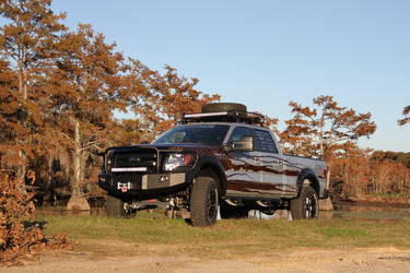 2014 Ford F-150 | 2014 Ford F150 Backwoods Sportsman