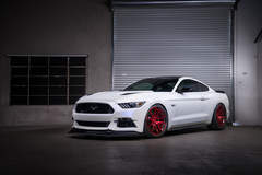 2015 Motoroso Ford Mustang Garage