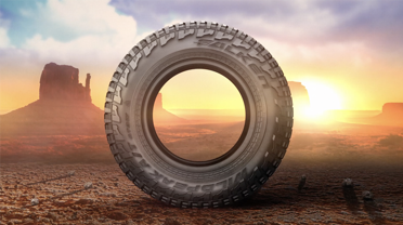Falken Wildpeak AT3W (285/75/17) tires