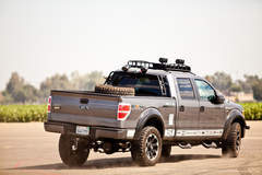 Hellwig F150