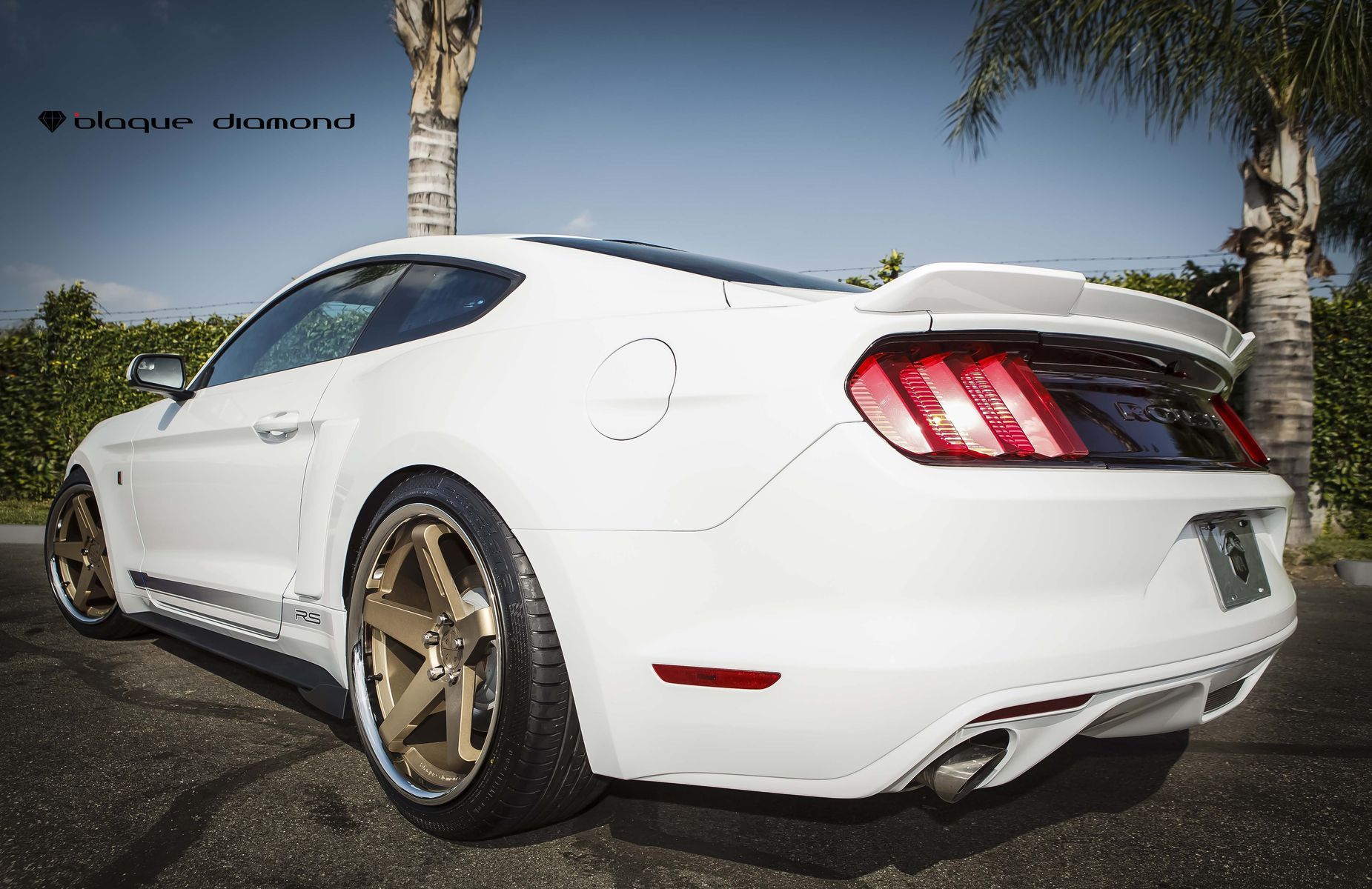 2015 Ford Mustang 2015 Ford Mustang Roush Fitted With 20 Inch BD-21’s in Br...