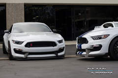 2017 Shelby GT350