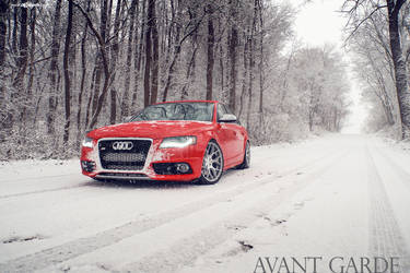 Audi B8 S4