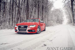 Audi B8 S4