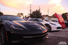 A Gaggle of Stingrays