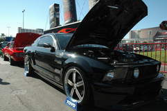 SEMA Mustang