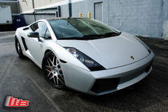 Matte Silver Gallardo on 20"21" HRE 790R