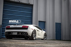 OUR CLIENT'S LAMBORGHINI GALLARDO WITH 19" ASANTI AF-173 WHEELS
