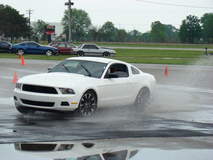Mustang at Winged Warrior