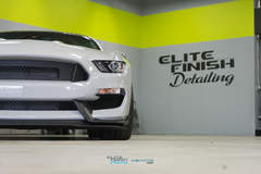 2016 Shelby GT350R