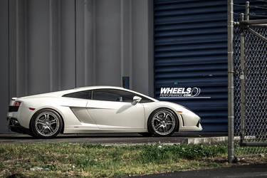 2009 Lamborghini Gallardo | OUR CLIENT'S LAMBORGHINI GALLARDO WITH 19" ASANTI AF-173 WHEELS
