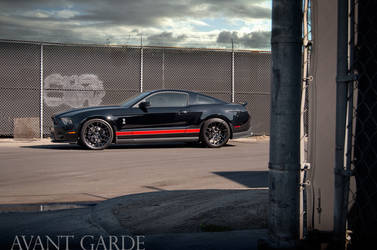 Ford Shelby GT500