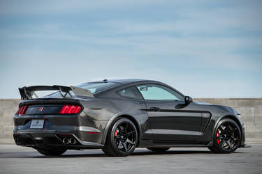 2019 Ford GT350R | 2019 Shelby GT350R Carbon Fiber Edition by Speedkore - Final Rear Shot FordSEMA