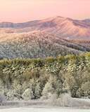Frosty Morning