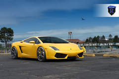 Lamborghini Gallardo