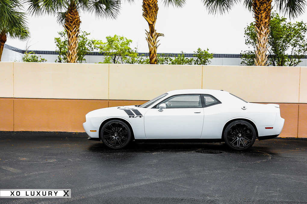 2013 Dodge Challenger | '13 Dodge Challenger on XO Milan's