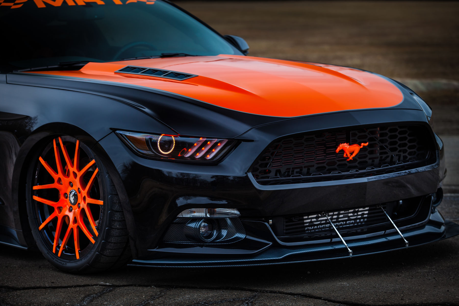 2015 | MRT TKO Mustang