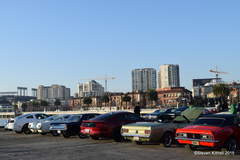 Classic Mustangs