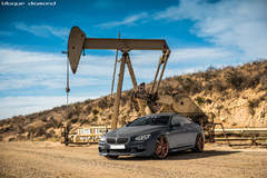 2015 BMW 640i Fitted With 20 Inch BD-8’s in Rose Gold