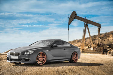 2015 BMW 6 Series Gran Coupe | 2015 BMW 640i Fitted With 20 Inch BD-8’s in Rose Gold