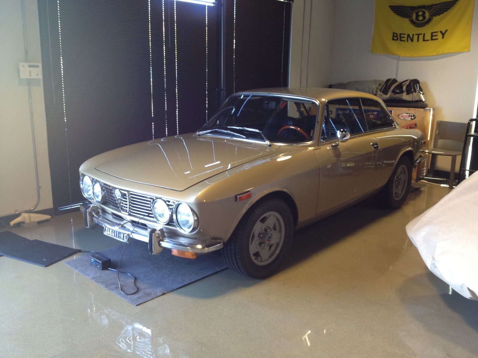    | Alfa Romeo GTV