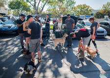 San Diego Cars & Coffee August 13th, 2016