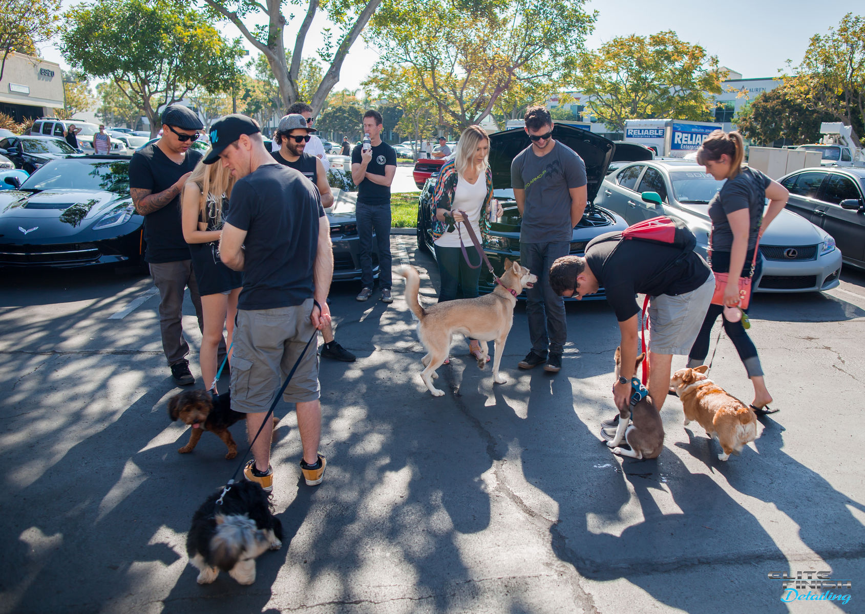    | San Diego Cars & Coffee August 13th, 2016